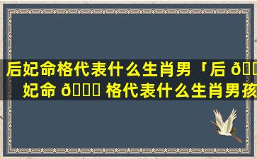 后妃命格代表什么生肖男「后 🐼 妃命 🐈 格代表什么生肖男孩」